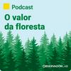 undefined O valor da floresta