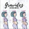 undefined Período Fetal: A gravidez em 40 semanas!