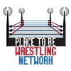 undefined Place to Be Wrestling Network