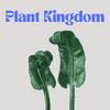 undefined Plant Kingdom