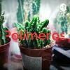 undefined Polímeros