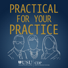 undefined Practical for Your Practice