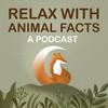 undefined Relax With Animal Facts
