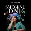 undefined Smegenų DNR