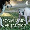 undefined SOCIALISMO × CAPITALISMO