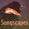 undefined Songscapes