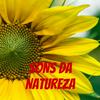 undefined SONS DA NATUREZA