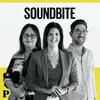 undefined Soundbite