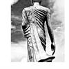 undefined Story of the Buddha