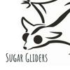 undefined Sugar Gliders