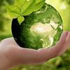 undefined Sustentabilidade: vamos pensar nisso?