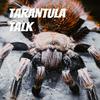 undefined Tarantula Talk