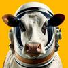 undefined The Dairy Podcast Show