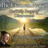 undefined The Examen Prayer with Fr. Timothy Gallagher - Discerning Hearts Catholic Podcasts