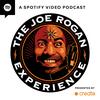 undefined The Joe Rogan Experience