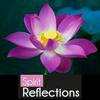 undefined Spirit Reflections