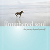 undefined The Untethered Soul: The Journey Beyond Yourself by Michael A. Singer, Book Summary, Podcast