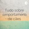 undefined Tudo sobre comportamento de cães