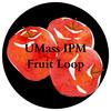 undefined UMass IPM Fruit Loop