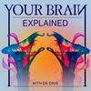undefined Your Brain Explained