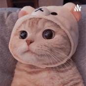 Podcast ℙ𝕣𝕖𝕤𝕖𝕟𝕥𝕒𝕔𝕚𝕠𝕟