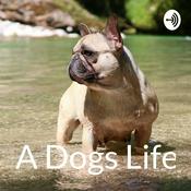Podcast A Dogs Life Podcast
