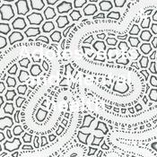 Podcast Adolescents and Mental health