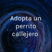 Podcast Adopta un perrito callejero