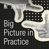 Podcast Big Picture In Practice