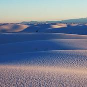 Podcast Blood Meridian Now