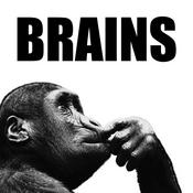 Podcast Brains