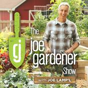 Podcast Burpee Home Gardens Tip of The Week Podcast