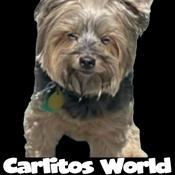 Podcast Carlitos World