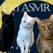 Podcast Cat ASMR【eating,purring,grooming】