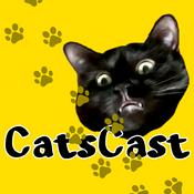 Podcast CatsCast