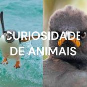 Podcast CURIOSIDADE DE ANIMAIS