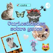 Podcast Curiosidades sobre gatos
