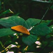 Podcast DECONSTRUIR LO CONSTRUIDO