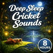 Podcast Deep Sleep Cricket Sounds