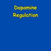 Podcast Dopamine Regulation | Balanced Brain Chemistry