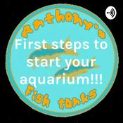 Podcast First steps to start your aquarium!!!