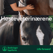 Podcast Hesteveterinærene