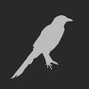 Podcast Inaktivkohle