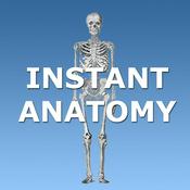 Podcast Instant Anatomy