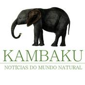 Podcast Kambaku Podcast