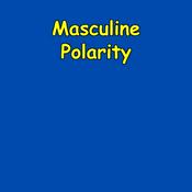 Podcast Masculine Polarity | Attraction & Leadership Daily