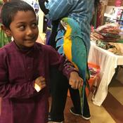 Podcast Moral stories