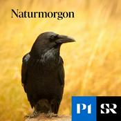 Podcast Naturmorgon