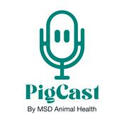 Podcast PIGCAST