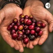 Podcast Pílulas da Palavra